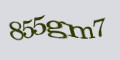 Verification code image